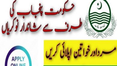 PDMA.gov.pk jobs