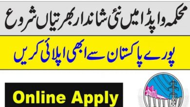 National Transmission & Despatch Company NTDC Job 2022