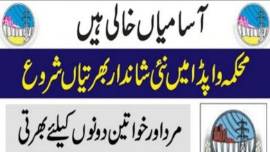 Water and Power Division Skardu Jobs 2022