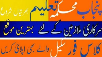 Jobs in District Education Authority Faisalabad 2022