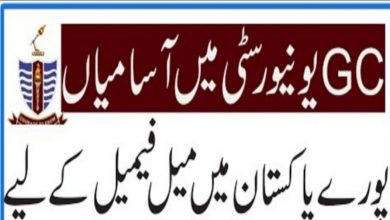 GC University Lahore Jobs 2022 – Government College University Jobs