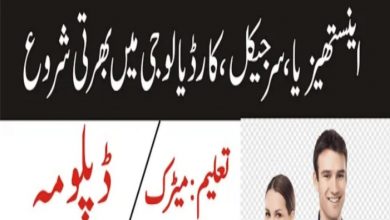 Lady Reading Hospital LRH Peshawar Jobs 2022