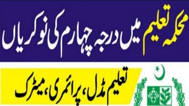 District Education Authority Hafizabad Jobs 2022
