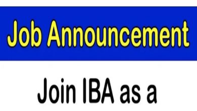 Institute of Business Administration IBA Karachi Jobs 2022