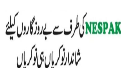 NESPAK Foundation Jobs 2022 Online Application Form