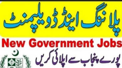 Planning and Development Board Punjab Jobs 2022 Online Application