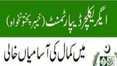 Directorate Of Tourists Services KPK Jobs 2022
