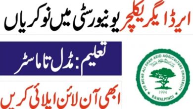 Pir Mehr Ali Shah ARID Agriculture University Rawalpindi Jobs 2022