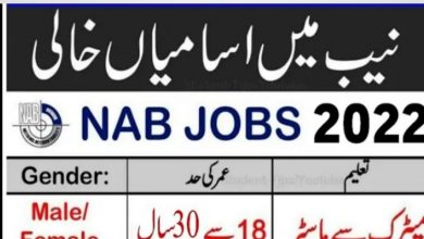 National Accountability Bureau NAB Jobs 2022 Download Application