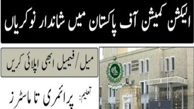 Election Commission of Pakistan ECP Jobs 2022 Advertisement