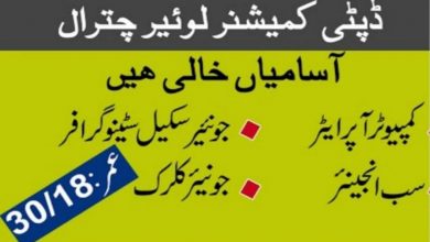 Deputy Commissioner Office Lower Chitral Jobs 2022