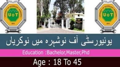 Shuhada E APS University of Technology Nowshera Jobs 2022
