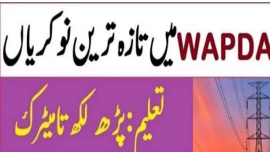 Water and Power Development Authority WAPDA Jobs 2022
