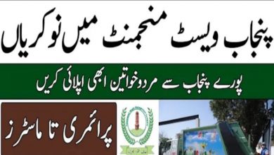 Faisalabad Industrial Estate Development & Management Company Jobs 2022