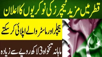 Cantt Public Primary School Havelian Cantt Jobs 2022