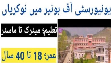 University of Buner Jobs 2022 Download Application Form