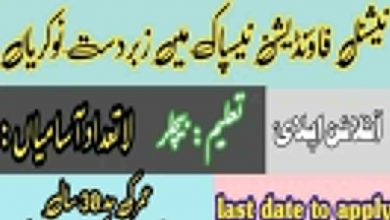 National Engineering Services Pakistan NESPAK Jobs - Apply Online