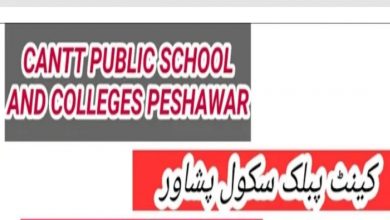 Qurtuba University Peshawar Campus Jobs 2022