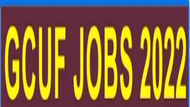 Government College GC University Faisalabad Jobs 2022