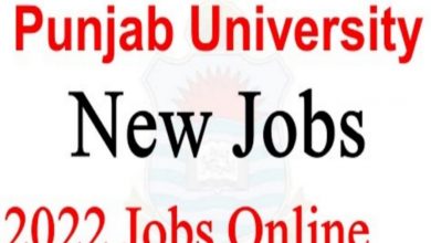 Mali Jobs 2022 at Punjab University