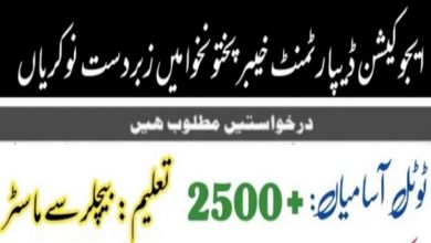 Education Department KPK Jobs 2022 for School Leaders via ETEA