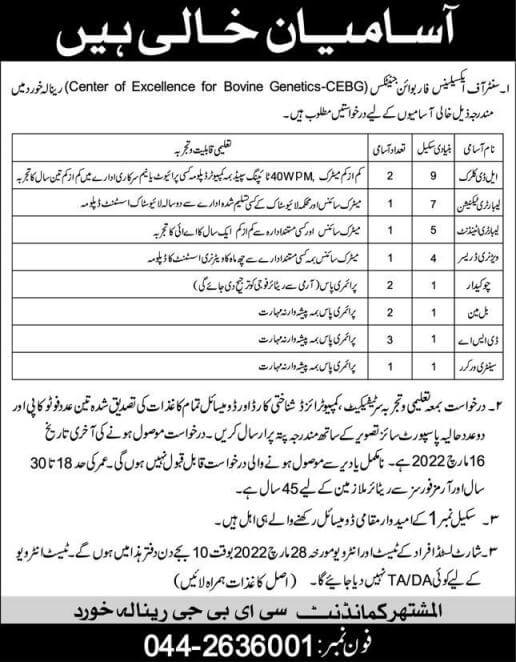 Center of Excellence for Bovine Genetics CEBG Jobs 2022