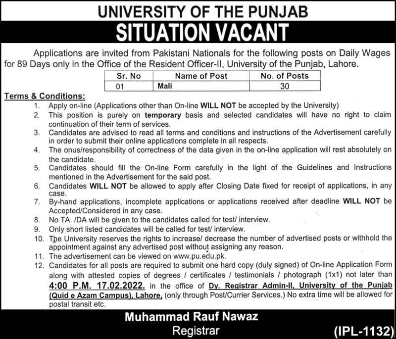 Mali Jobs 2022 at Punjab University