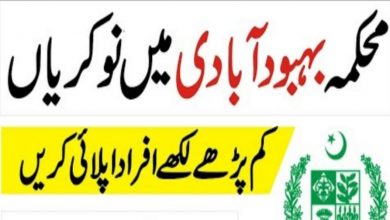 Today Jobs in District Population Welfare Department Narowal