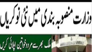 Today Planning and Development Board Punjab Jobs 2022