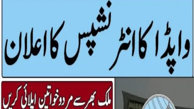 WAPDA Internship Program 2022 Online Applications