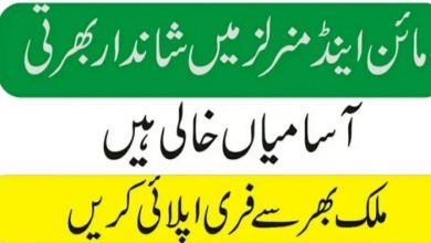 Mines and Minerals Department Punjab Jobs 2022
