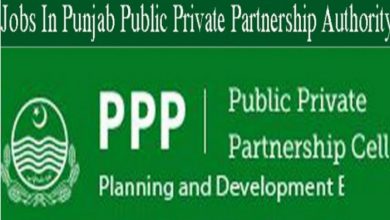 Jobs in Punjab Public Private Partnership Authority PPPPA