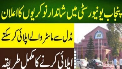 Punjab University of Technology Rasul Jobs 2022