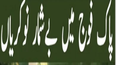 Pakistan Army POL Depot Risalpur Cantt Jobs 2022