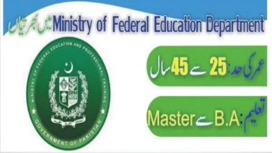 Ministry of Federal Education & Professional Training Job