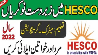 Hyderabad Electric Supply Company HESCO Jobs 2022