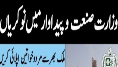 Ministry of Industries & Production Pakistan Jobs 2022