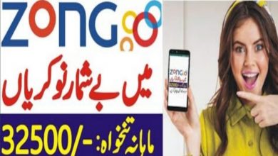 Zong Jobs 2022 Apply Online at Career.zong.com.pk