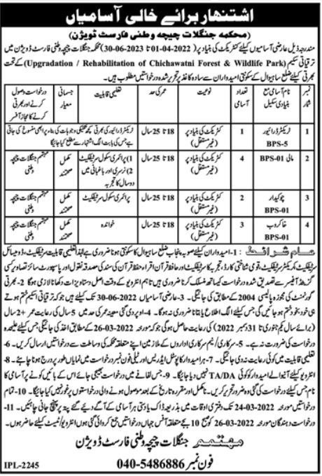 Forest Department Chichawatni Forest Division Jobs 2022
