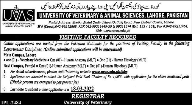 University of Veterinary and Animal Sciences UVAS Jobs 2022