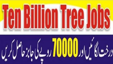 Ten Billion Tree Tsunami Project Peshawar Jobs 2022