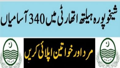 District Health Authority Sheikhupura Jobs 2022