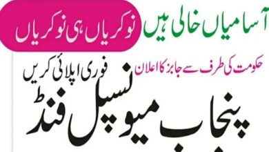 Punjab Municipal Development Fund Company PMDFC Jobs