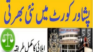 Khyber College of Dentistry Peshawar Jobs 2022 Download Application From