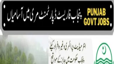 Forest Services Academy Ghora Gali Murree Jobs 2022