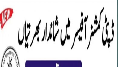 Deputy Commissioner Office Lakki Marwat Jobs 2022 Online Applications