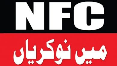 NFC Institute of Engineering & Technology Jobs 2022