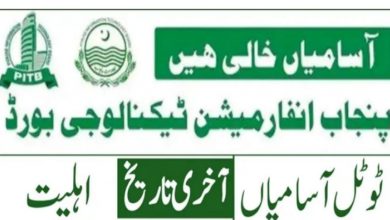 Punjab Information Technology Board Jobs 2022 PITB March Advertisement