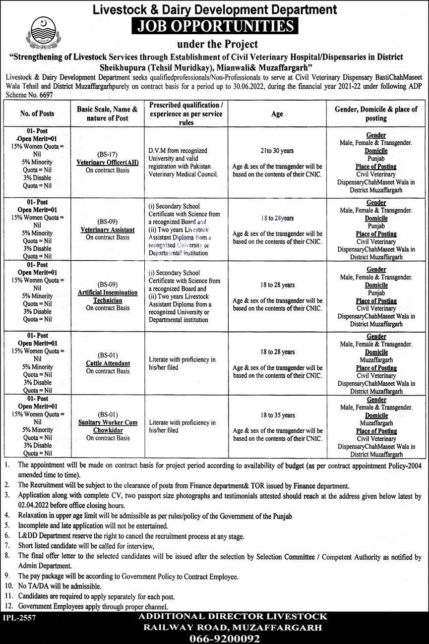 Livestock and Dairy Development Department Punjab Jobs