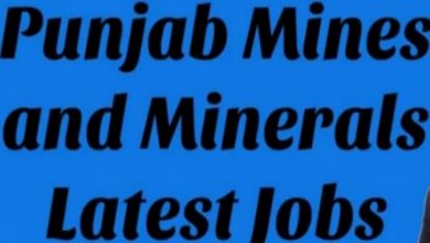 Punjab Mineral Company PMC Jobs 2022 – www.pmc.punjab.gov.pk